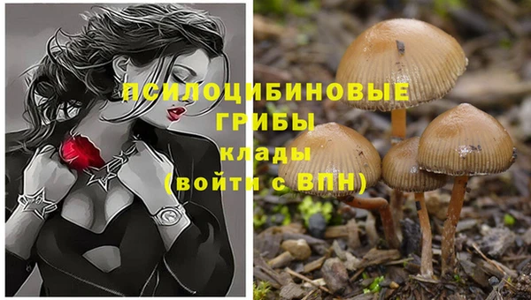 альфа пвп VHQ Алзамай